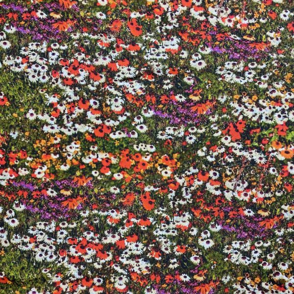 Blumenwiese ECOVERO – Bild 3